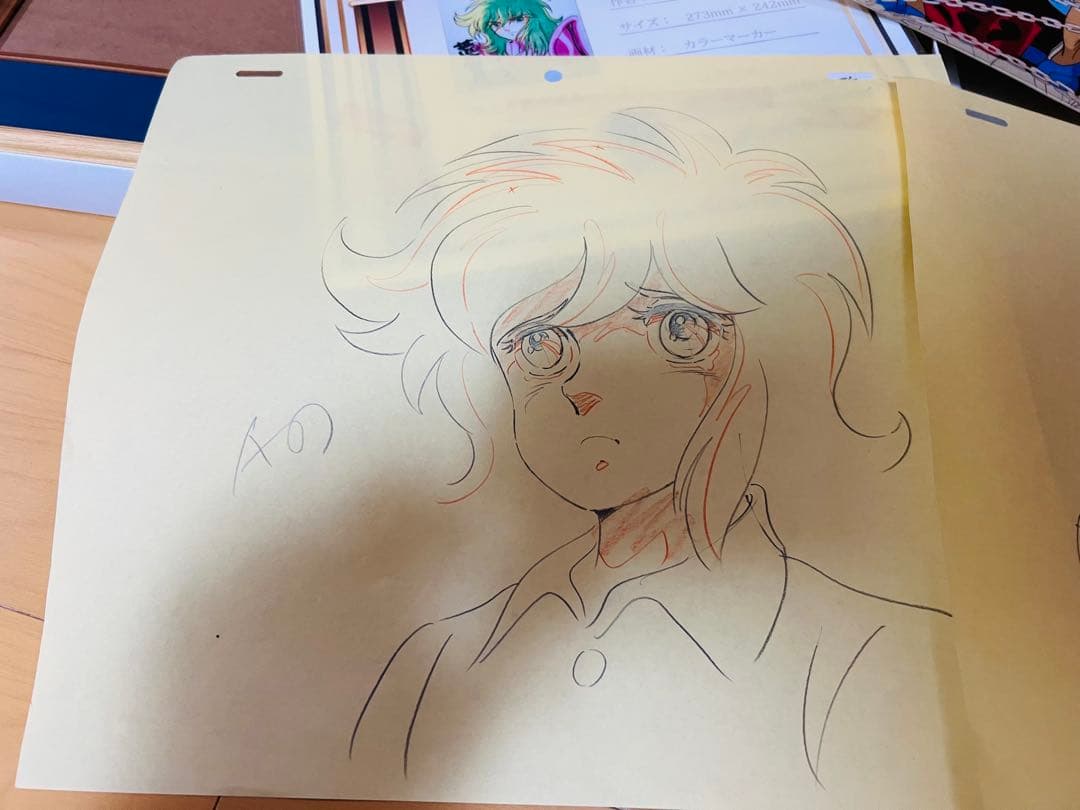 聖闘士星矢　荒木伸吾先生直筆サインカラー色紙　証明書額付　瞬　一輝　セル画セット