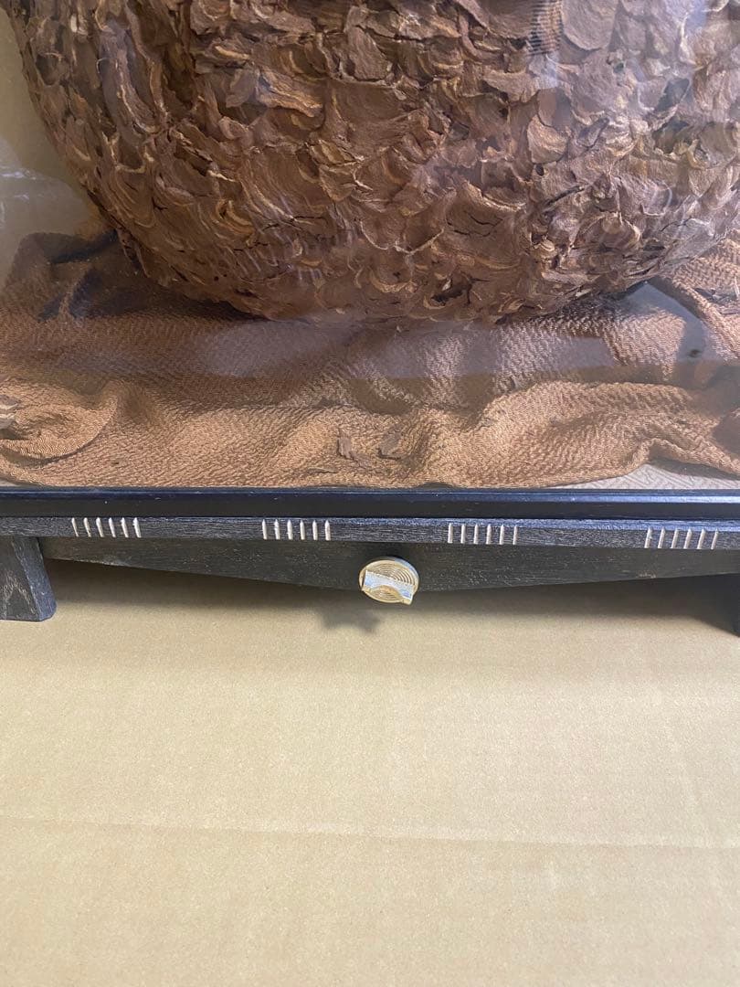 雀蜂の巣 スズメバチ ガラスケース　ハチの巣 オルゴール付きの木箱