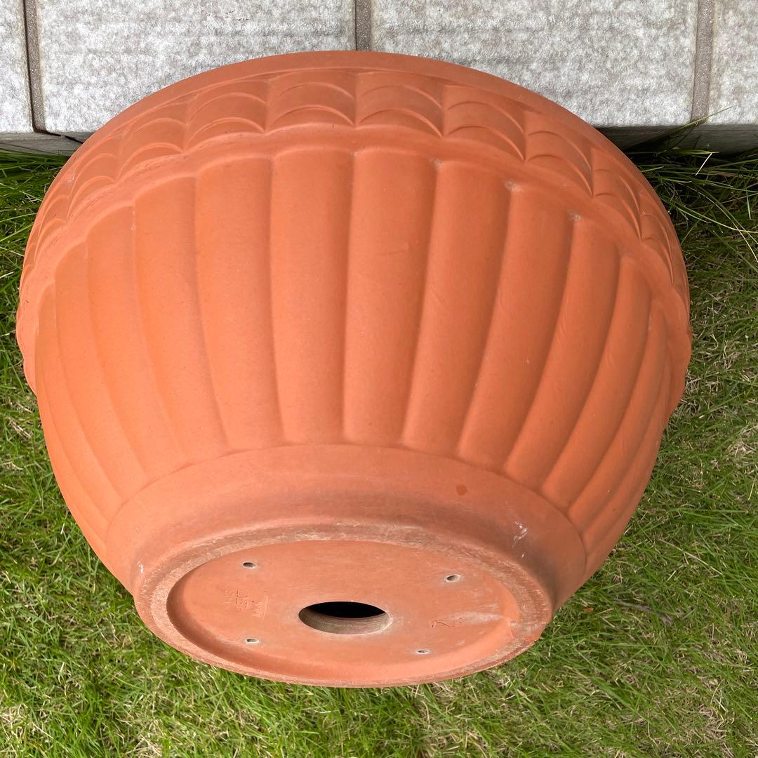 浅型テラコッタ 大きめ 丸鉢 ガーデニング 寄せ植え 植木鉢