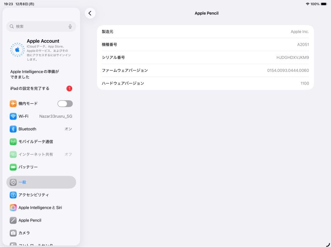 iPad Pro (第5世代) 12.9インチSHIBAINUさん専用