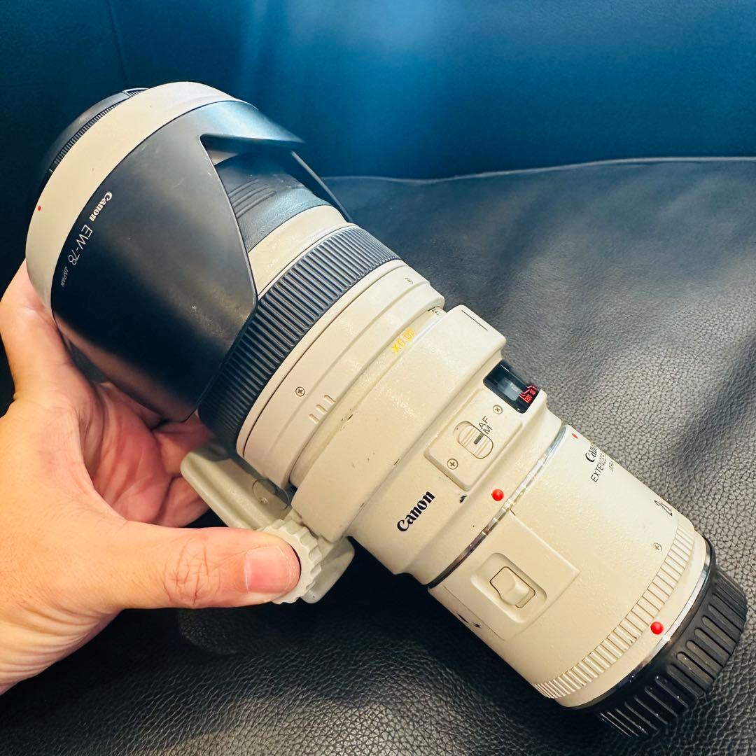 ⭐️美品USED Canon EF 35-350mm ズームレンズ⭐️エクステンダー