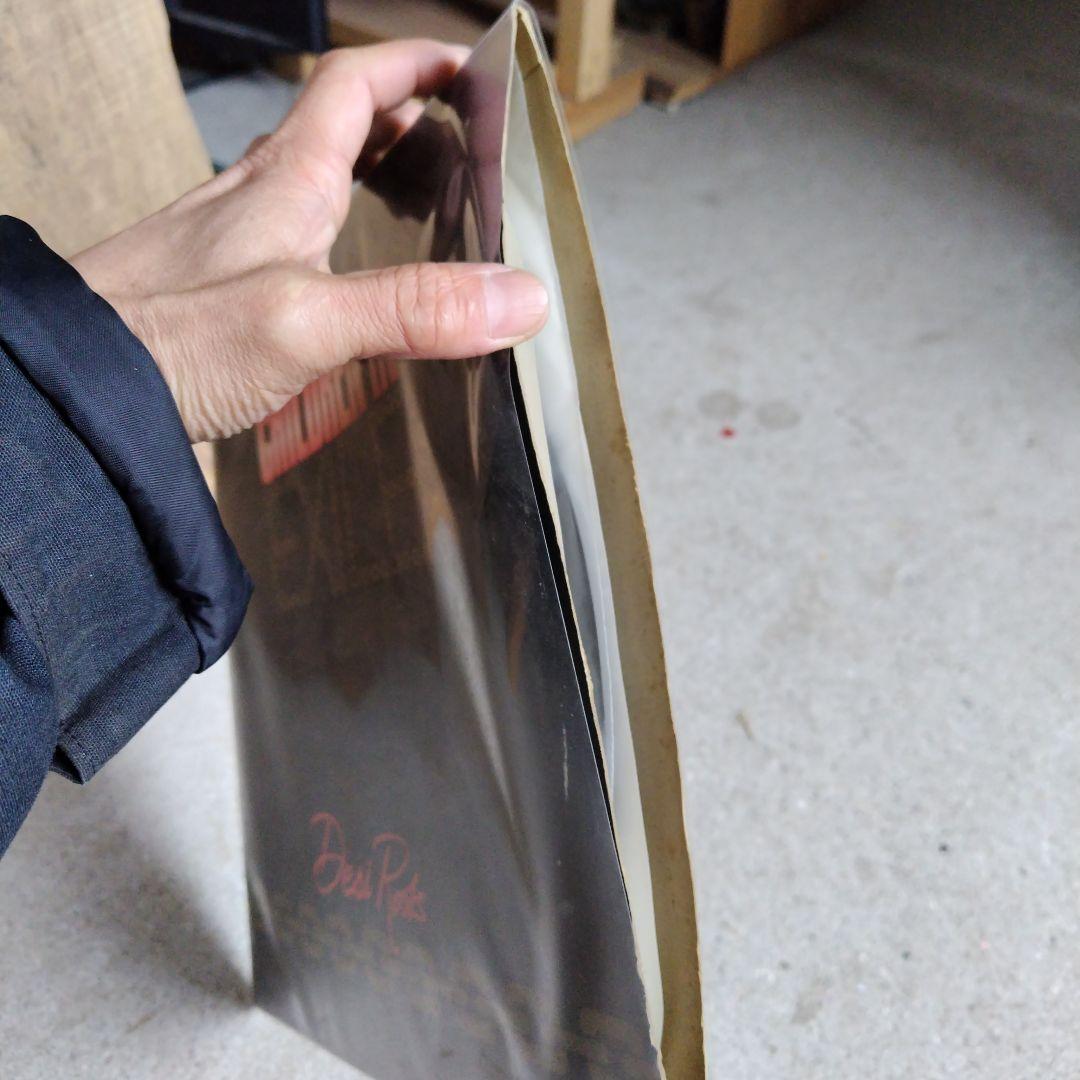 美品LP オリジナル Desi Roots CHILDREN IN EXILE