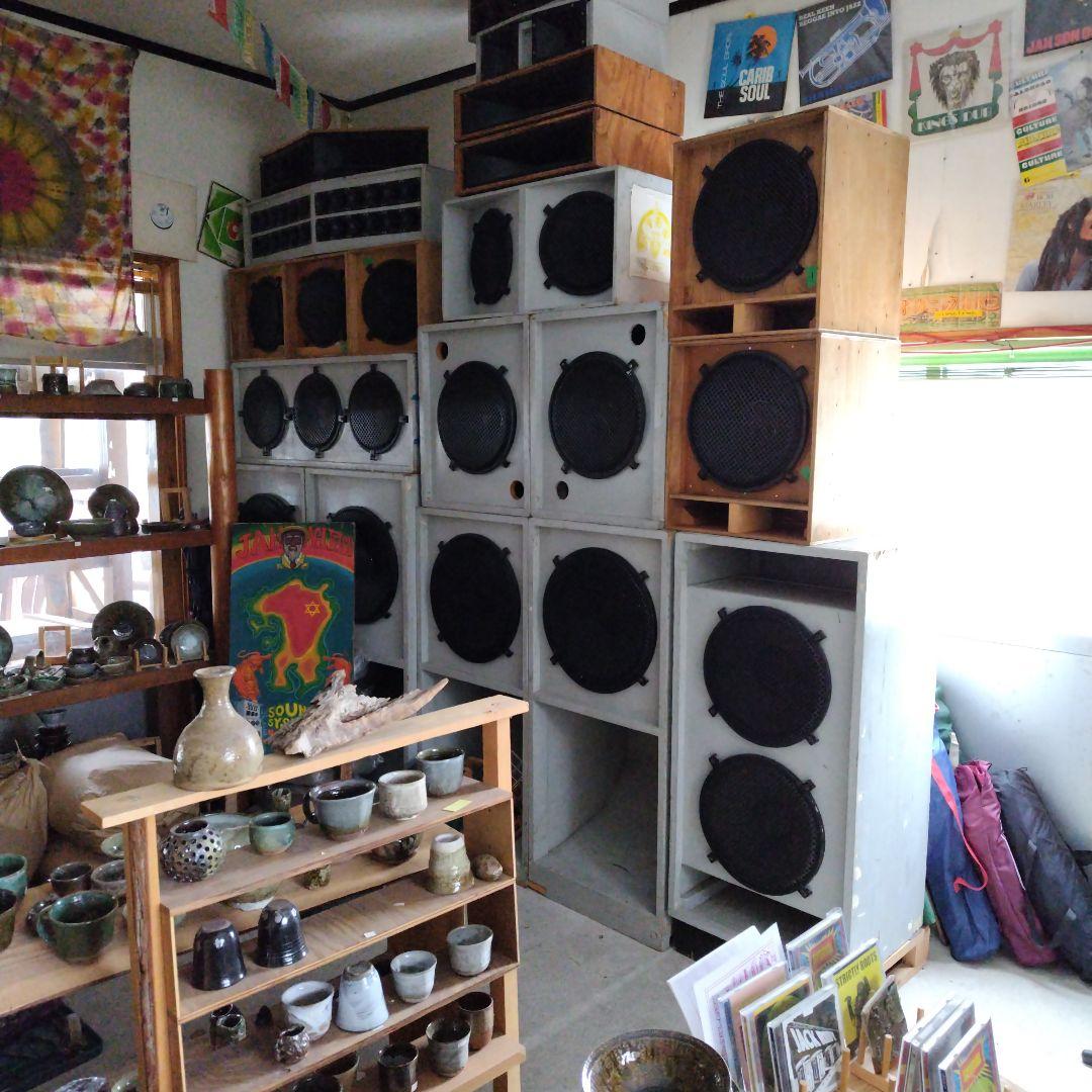 美品LP オリジナル Desi Roots CHILDREN IN EXILE