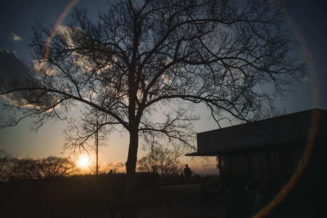 広角エルマー！Leica Elmar 35mm F3.5 オールドレンズ