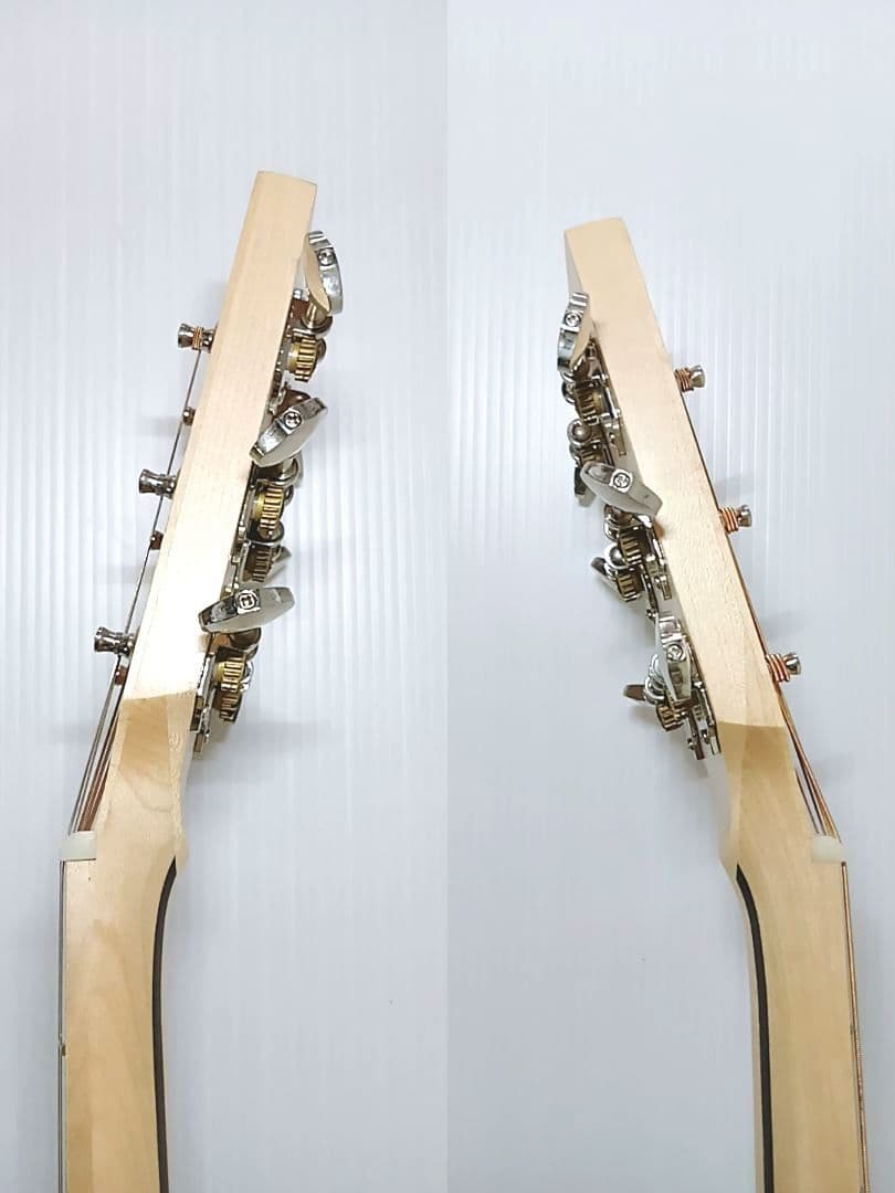 美品 NAGI GUITARS shiro アコースティックギター ソフトケース