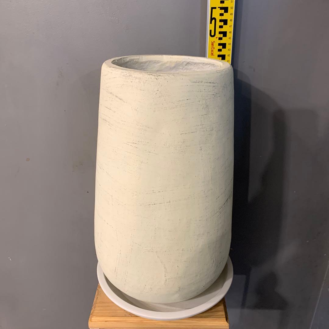 専用　鉢変更（12枚目）ストレリチア レギネ ファイバー鉢 お皿付き