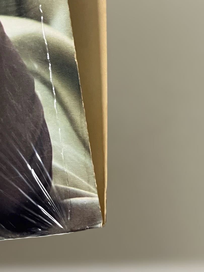 【USオリジナルLP】エイドリアナ エヴァンス / Adriana Evans