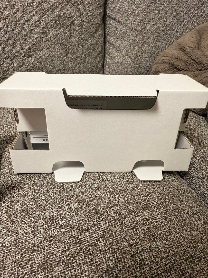 Nintendo Switch Lite ピンク 本体【箱付き】