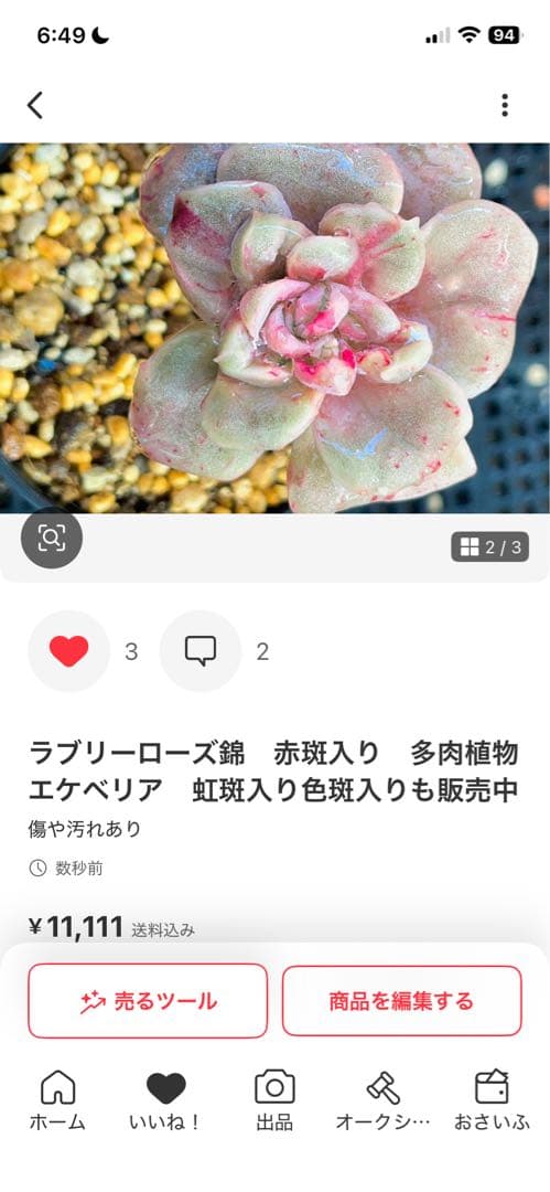 多肉植物　専用