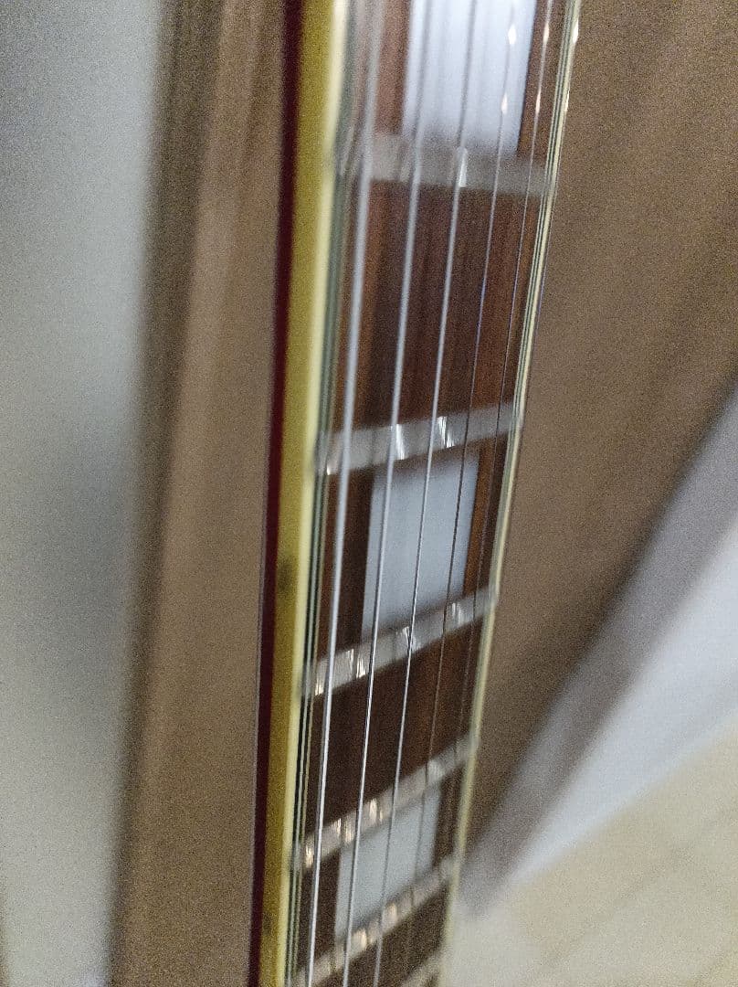 Aria pro Ⅱ　PE-DLX エレキギター