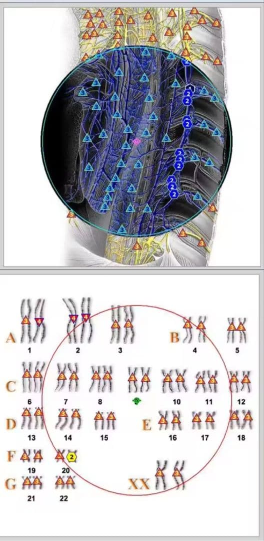 期間限定セール★波動測定器18D NLS メタトロン ニュースキャンヒーリング