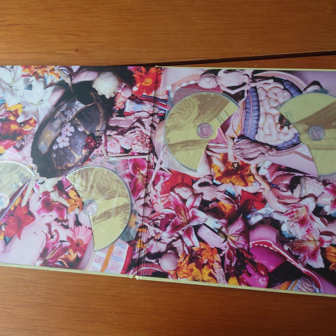 s*p様 【美品】NIRVANA IN UTERO 20TH ANNIVERSA