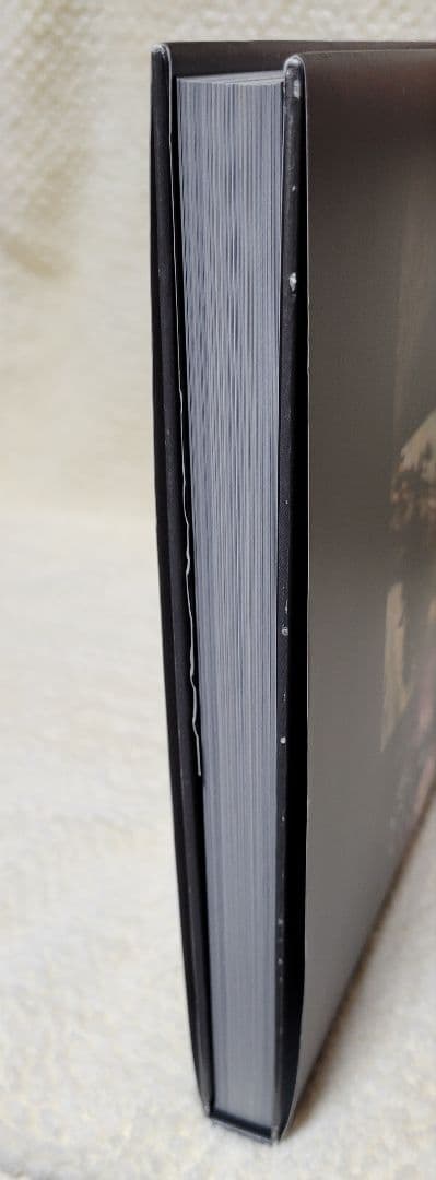 【設定資料集】アートオブアリスマッドネスリターンズ 【日本語版】