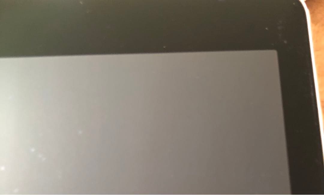 【早い者勝ち】iPad Pro 12.9 第1世代 256GB SIMフリー