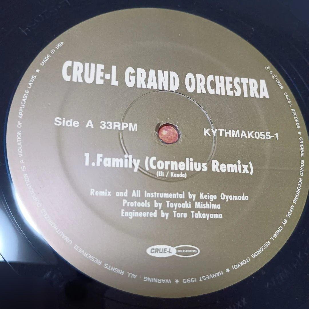 レコード２枚組　クルーエル　グランド　オーケストラ　コーネリアス