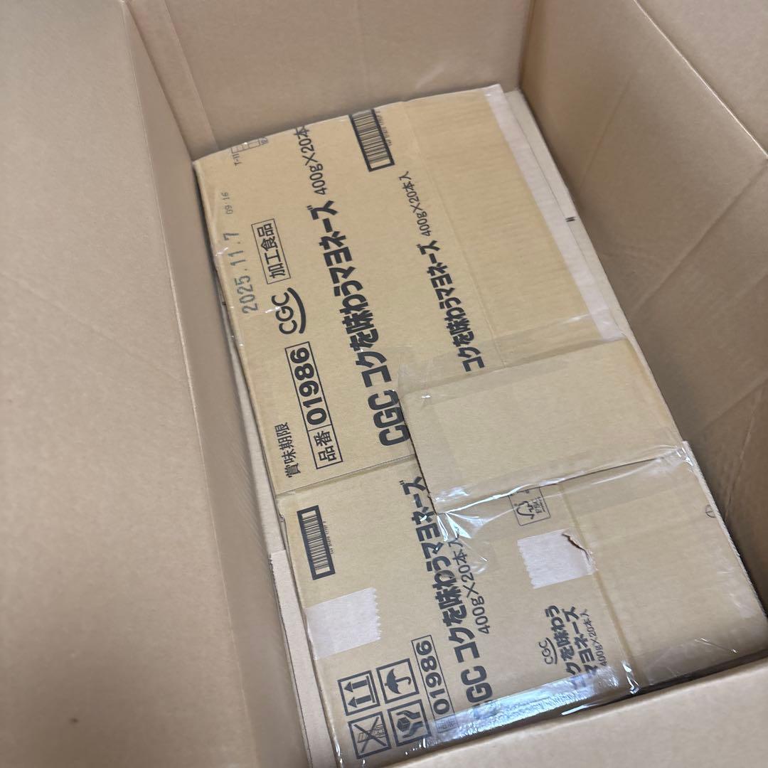 子*る様 ゲームキューブポケモン　XD 店頭　販促　両面ポップ　非売品ポケットモ