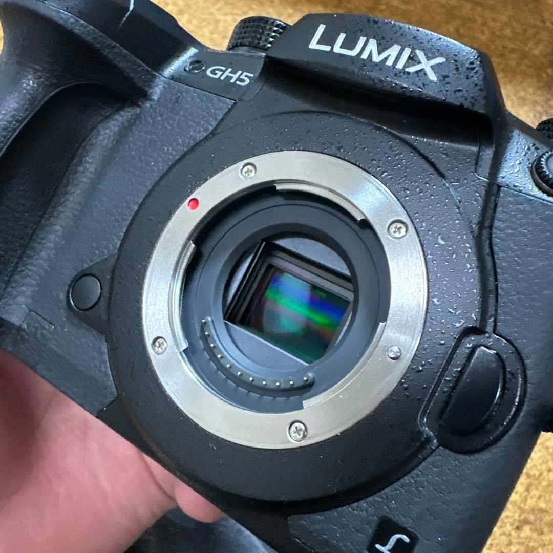 Panasonic LUMIX GH5 ＋LUMIX G 12-35mm セット