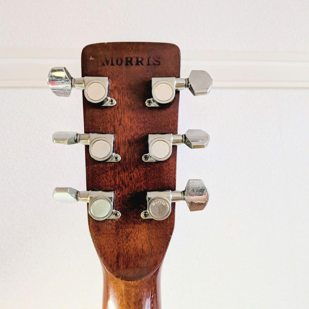 MORRIS　W-35　モーリス　ビィンテージ　トップ単板