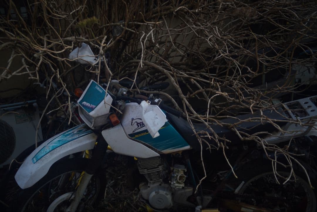 【動作確認済】PENTAX-M 40mm f2.8 バルサム切れなし