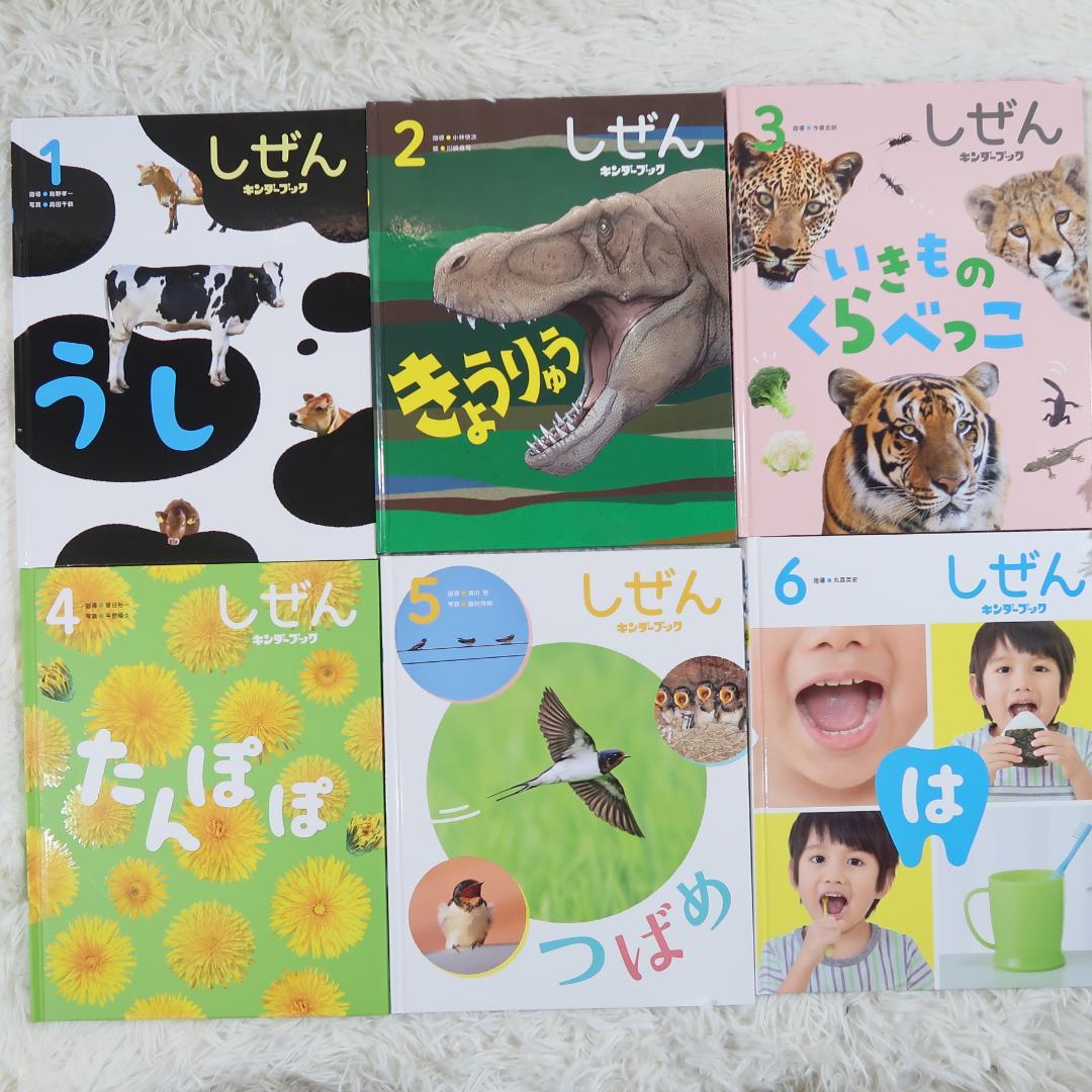 キンダーブック　しぜん 50冊セット　【24時間以内発送】