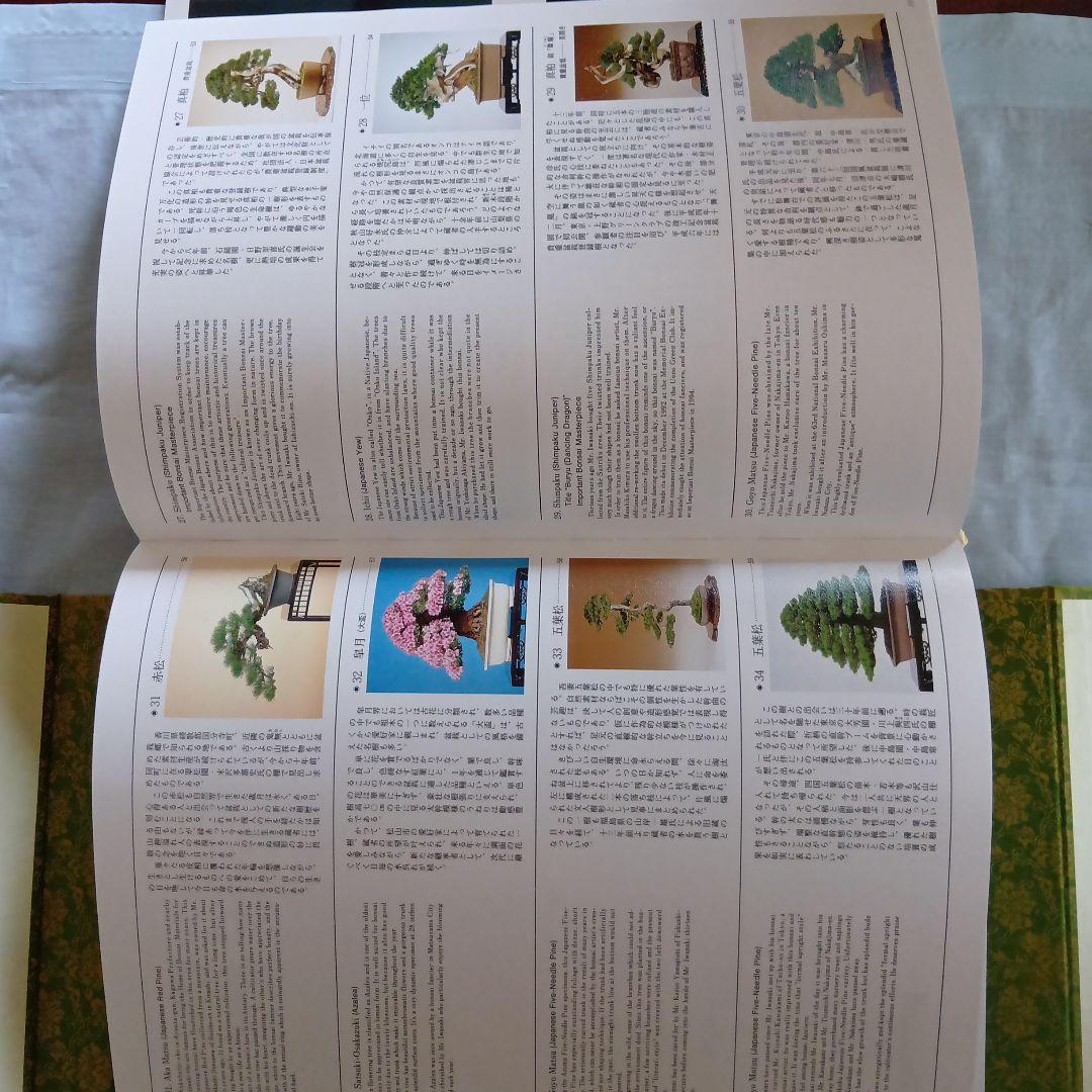 高砂庵 盆栽作品集