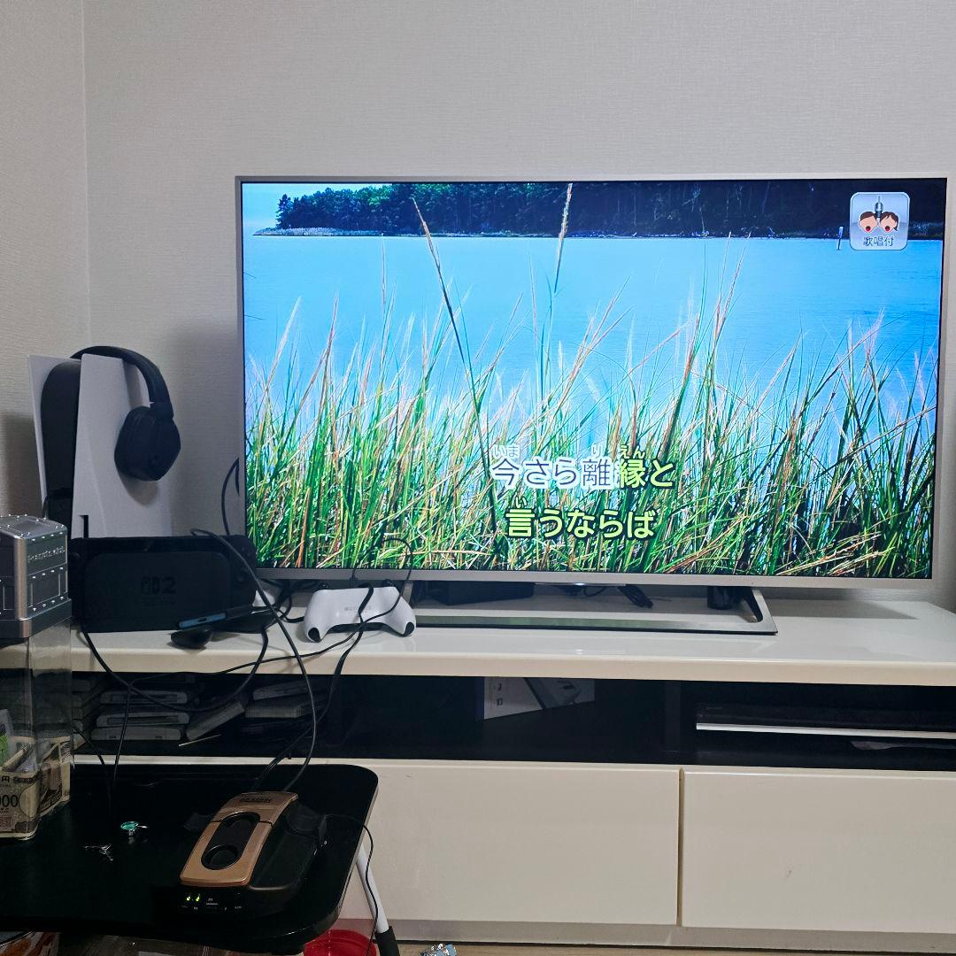 オンステージ パーソナルカラオケ PK-501WT 内蔵500曲