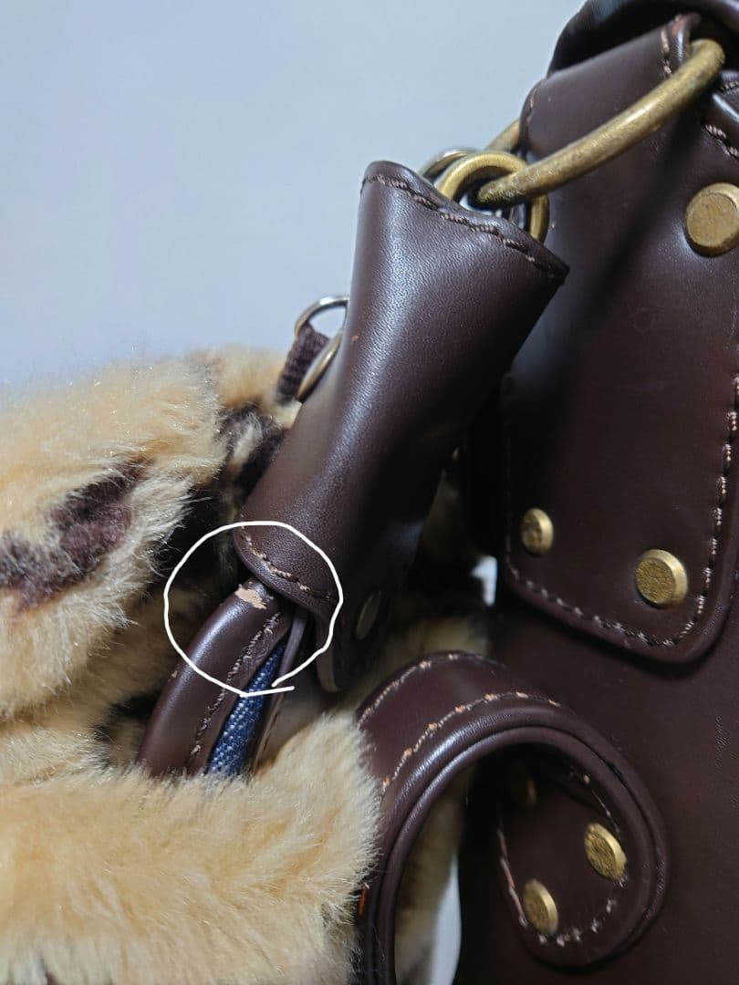 極上極美品✨EVISU＆GOLF デニム キャディバッグ フード一体型初期モデル