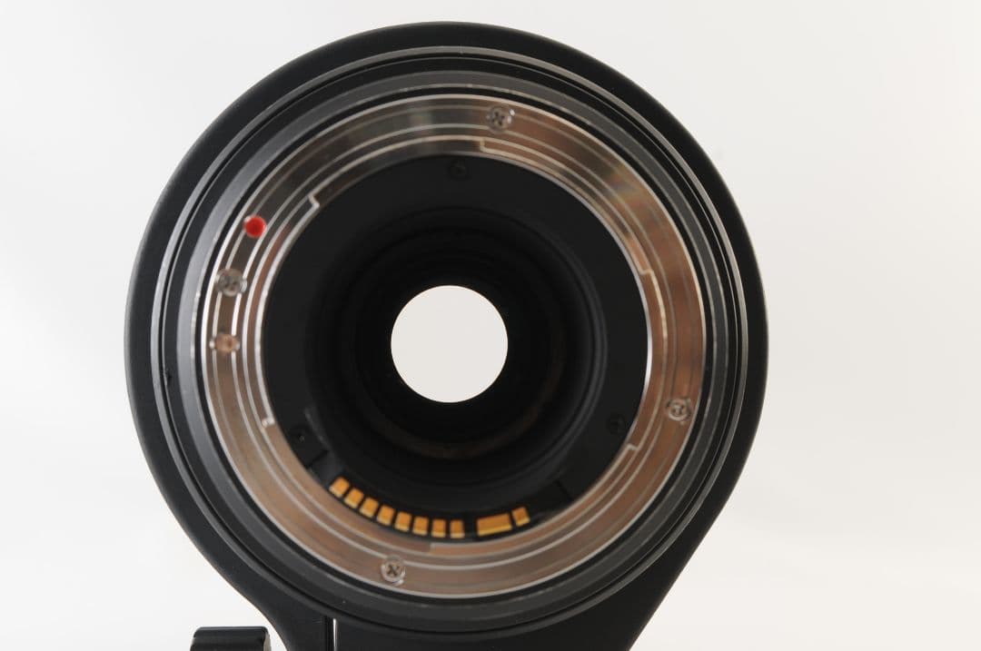 SIGMA 50-500mm F4.5-6.3 DG OS HSM ★超望遠★