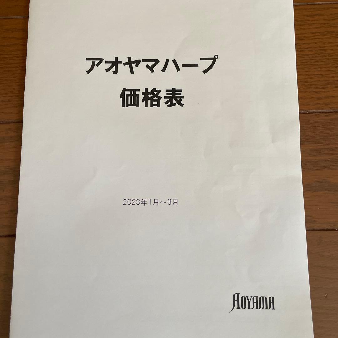 青山サウル　25弦ハープ 装飾無し