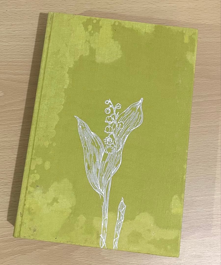 NO.248 古書 洋書 絵本 ドイツ植物図鑑　ボタニカルアート 野花