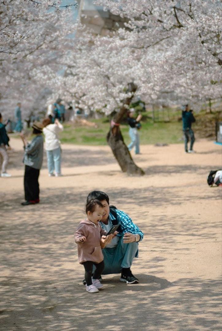 Konica M-Hexanon 50mm F2 Leica Mマウント