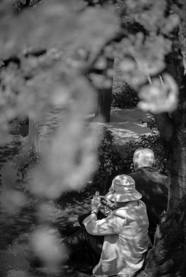 Konica M-Hexanon 50mm F2 Leica Mマウント