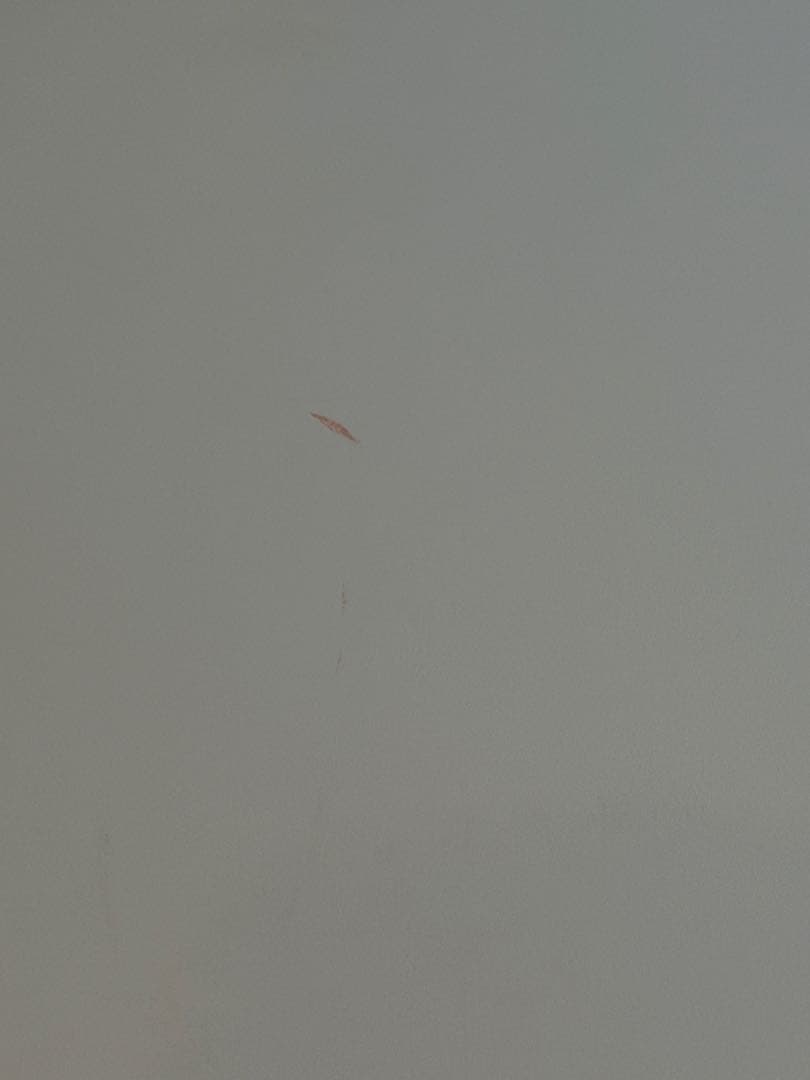 Bose Bass Module 700 ホワイト サブウーファー 動作確認済み