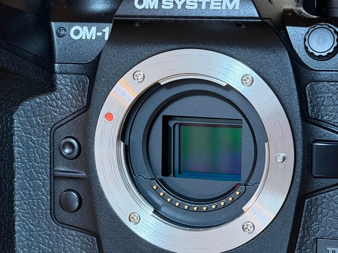 OM SYSTEM OM-1 Mark II ボディ