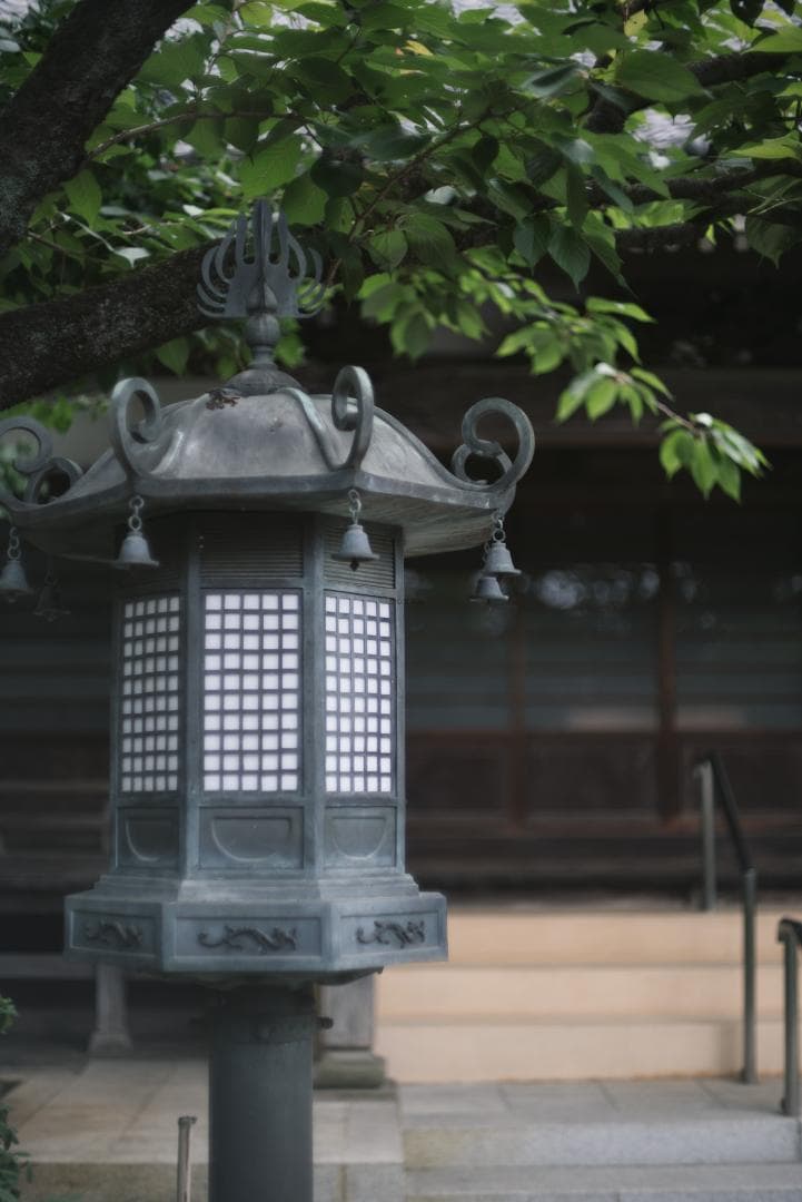 辻野様 8枚玉！Super-Takumar 50mm f1.4 前期