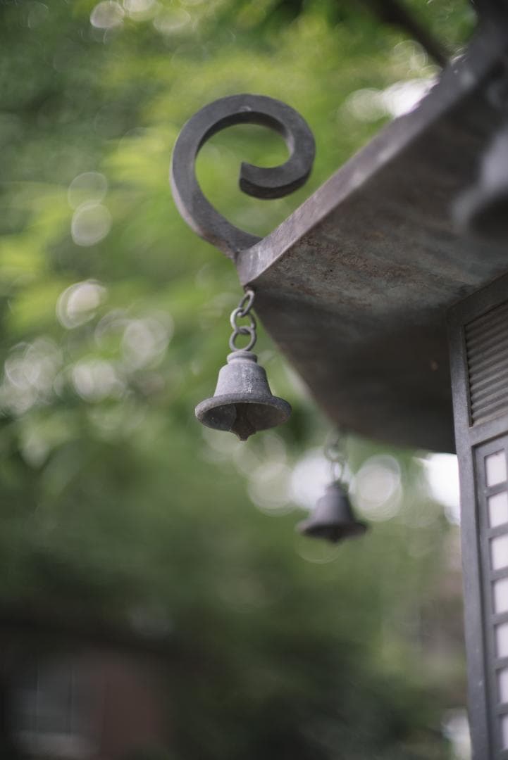 辻野様 8枚玉！Super-Takumar 50mm f1.4 前期