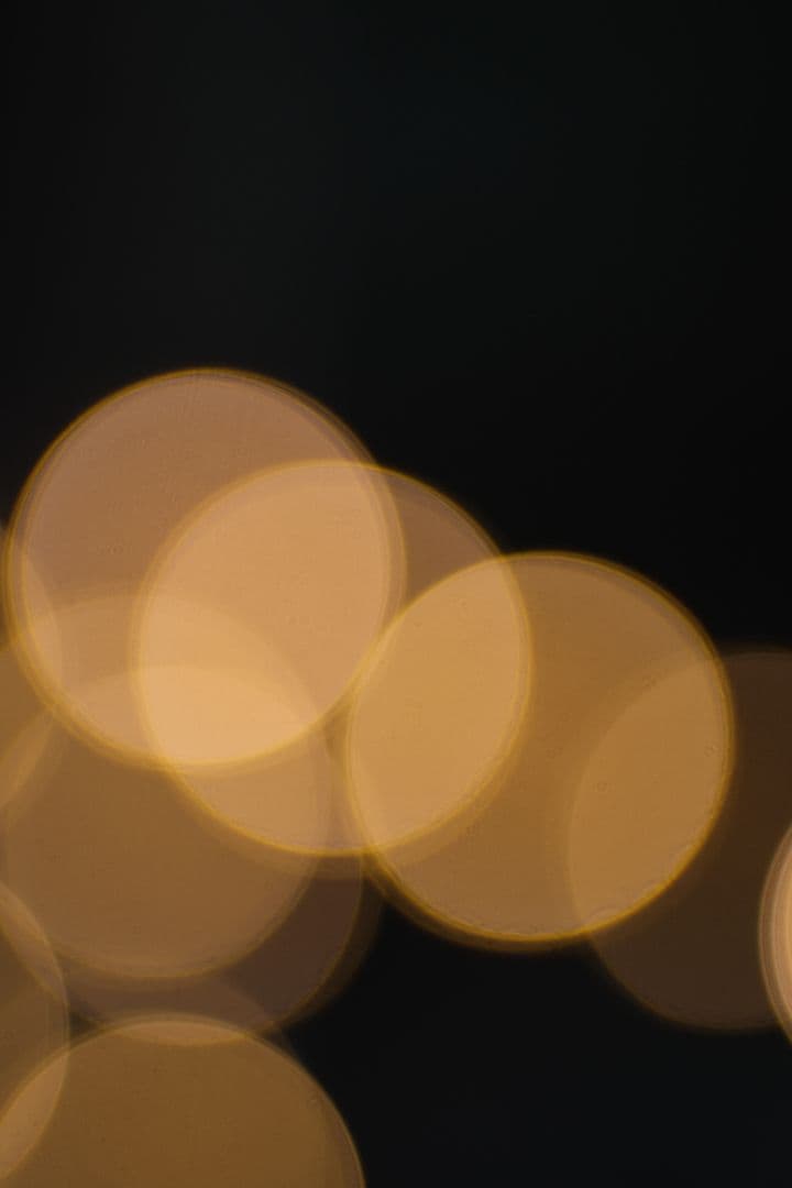 85㎜ F2 コンタレックス Zeiss ゾナー Contarex