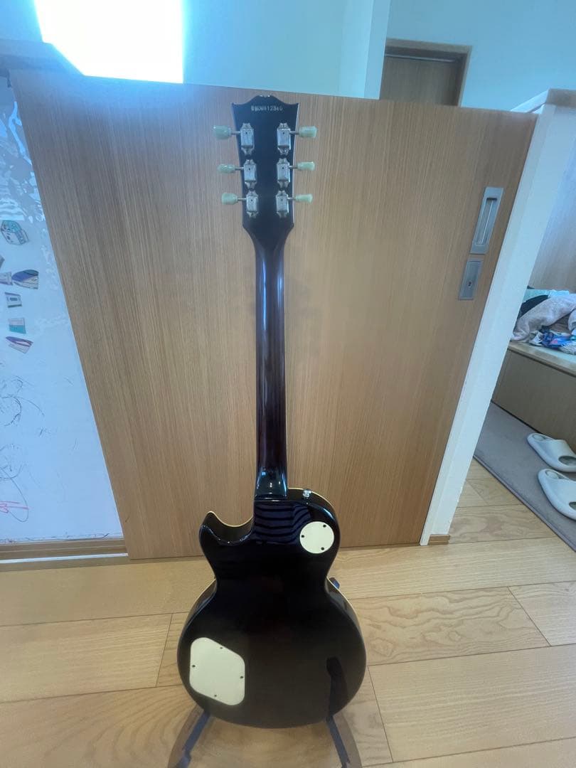 グラスルーツ　リミテッドモデル　EMGピックアップ　ソフトケース付