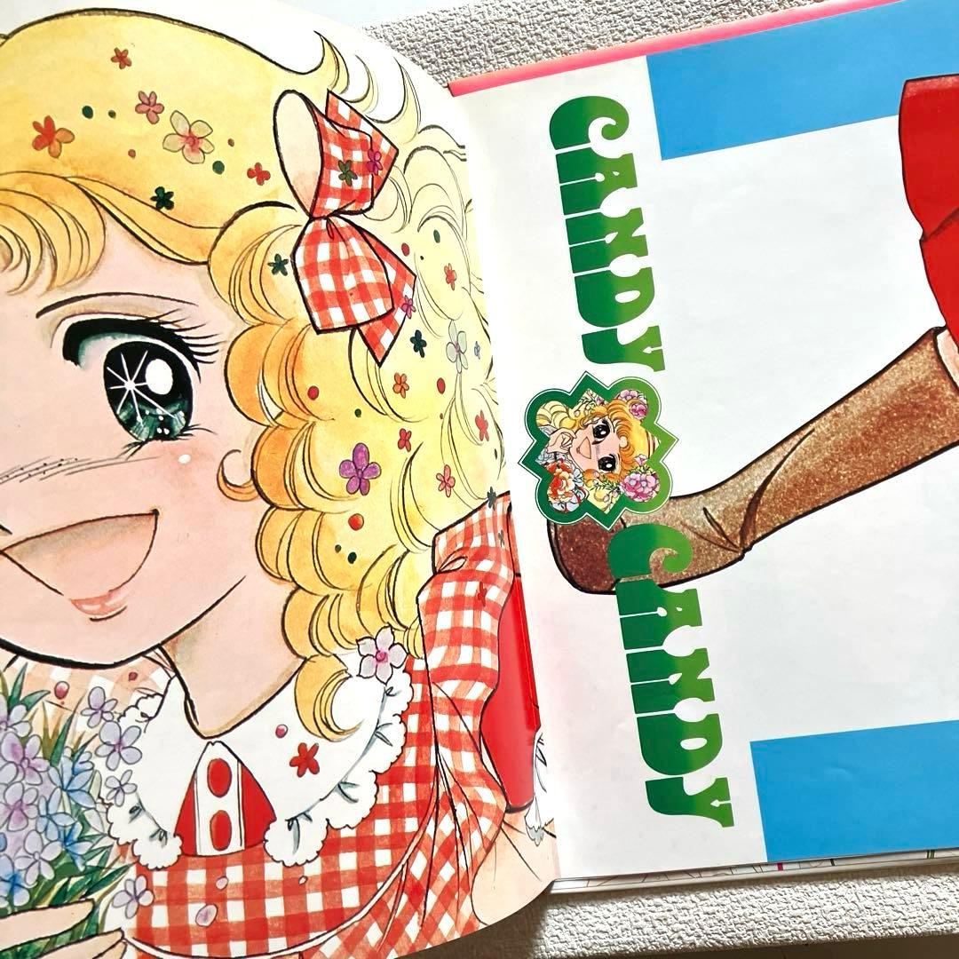 キャンディ・キャンディ　堀江美都子　LPレコード