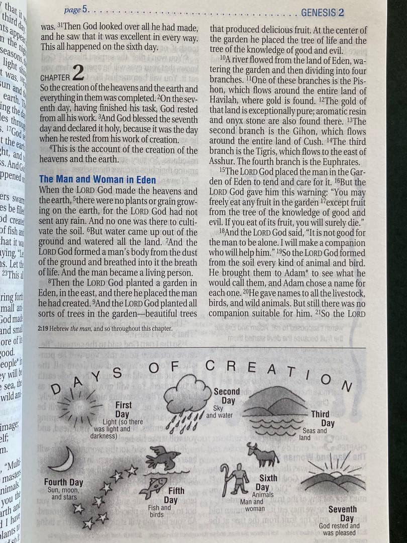 Kids life application bible 子供英語聖書