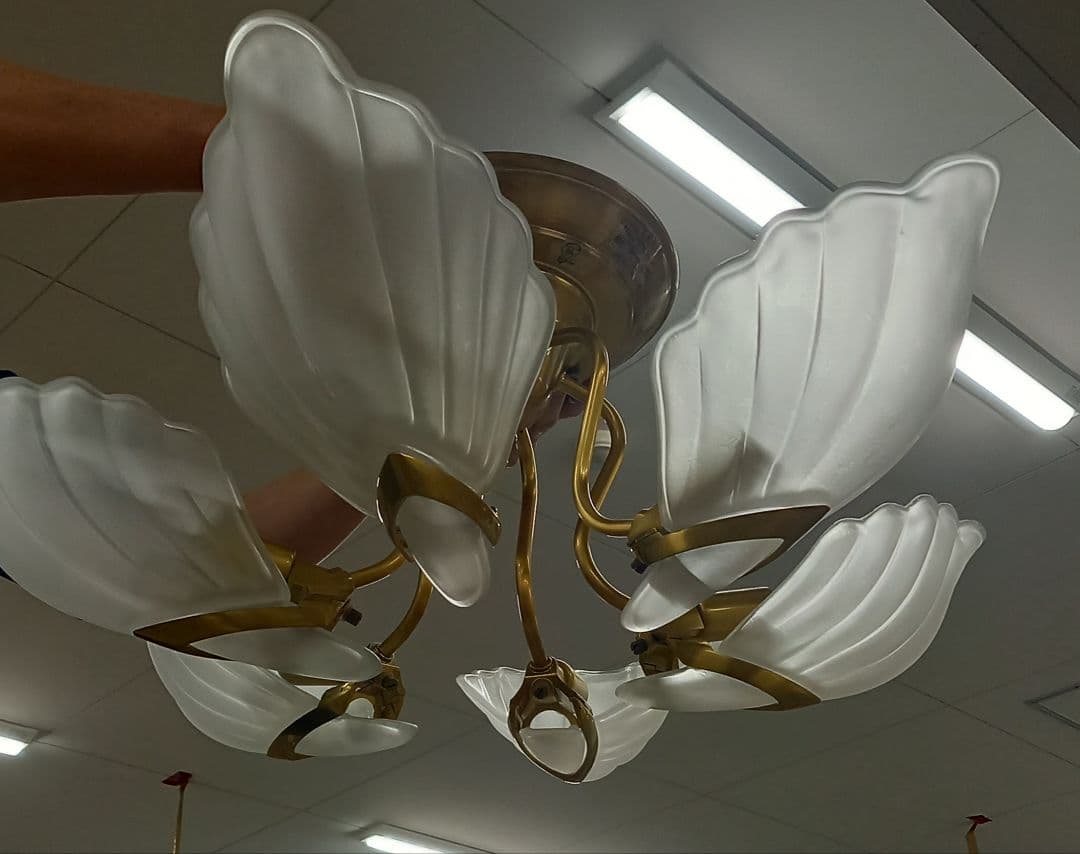 コイズミ　貝殻型6灯シャンデリア