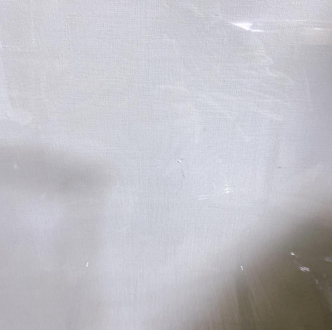 IKEA TOBIAS トービアス ダイニングチェア 椅子 クリア