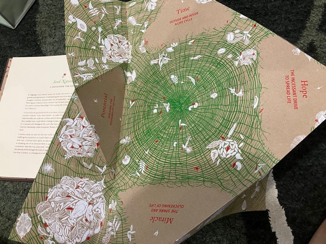 「SEED 」Gita Wolf他著Tarabooks インド限定品　日本未販売