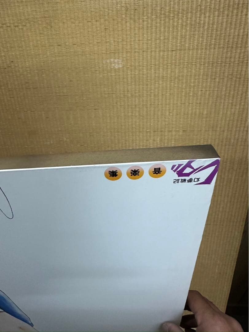 幻夢戦記レダ　木枠ポスター