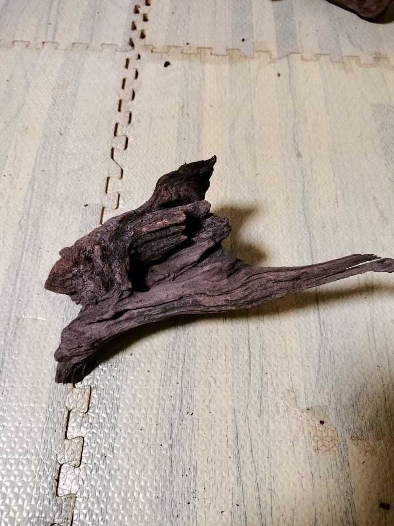 わ*ち様 水槽用流木 複数セット ホーンウッド ブランチウッド