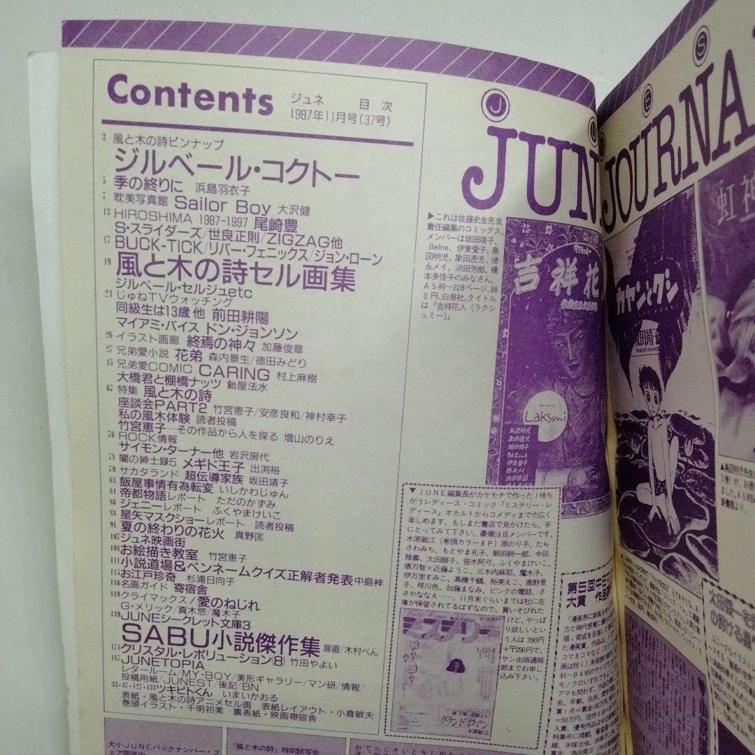 ジュネ 風と木の詩 竹宮恵子 36 37 38 1987年 1988 JUNE