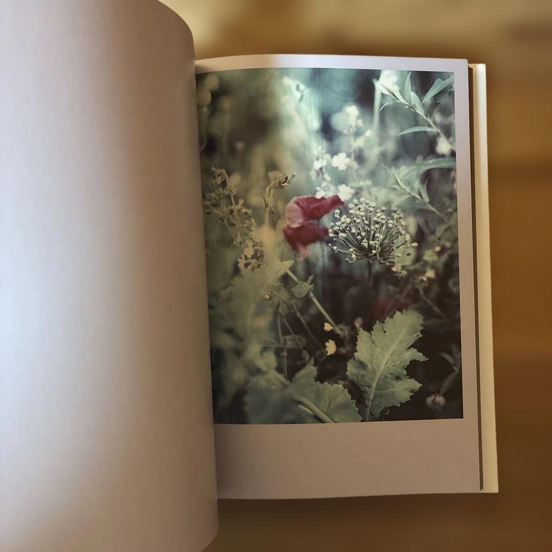 Darren Almond 写真集The Civil Dawns