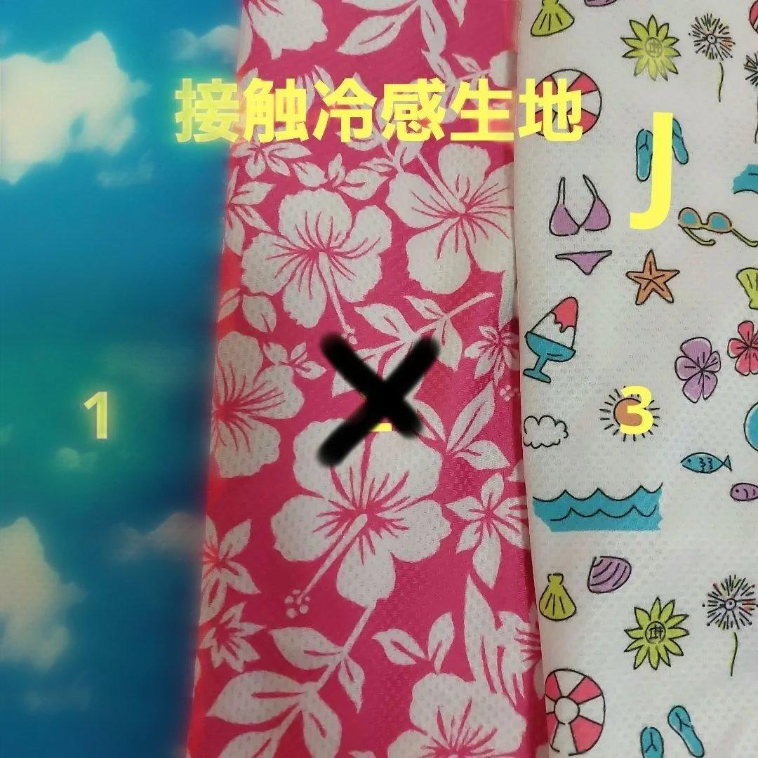 2025　春　　生地見本