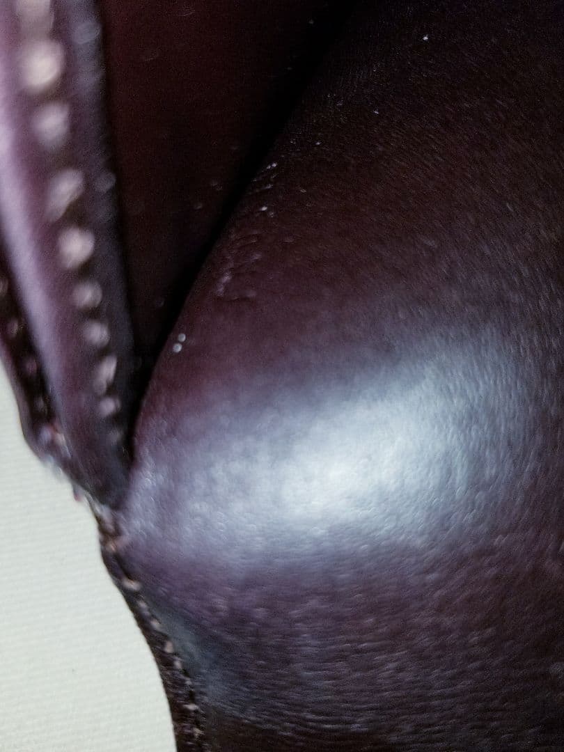 【美品】ルイヴィトン ヴェルニ ポルトフォイユ サラ 二つ折り 長財布