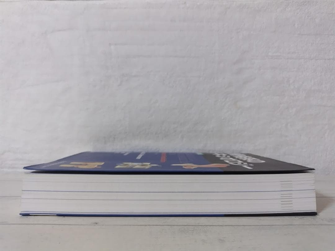 筋骨格系のキネシオロジー 原著第3版 ドナルド・A.ニューマン boz